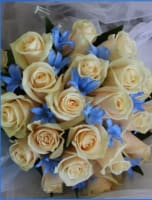 FLORIST  GIFTS  PLANTS & POTS - ONLY ONE IN BEACONSFIELD -