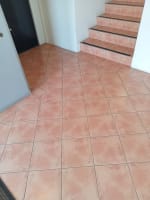 URGENT SALE- Profitable Owner-Operator Carpet Cleaning Business Growth Potential