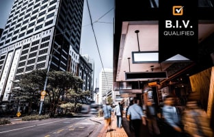 Commercial Property & Entertainment Hub - NZ