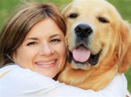 Bark Busters Franchise For Sale. The Worlds Largest Home Dog Training Business