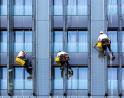 Commercial Painting Business for Sale - 5882