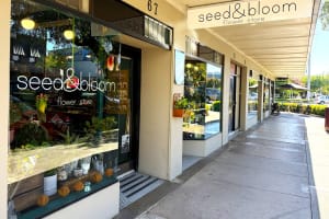 LEASEHOLD - Seed & Bloom Flower Store, Wangaratta - 1P0586