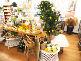 Scone Newsagency - $425k + SAV