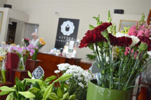 Established Florist Business For Sale, Malvern East