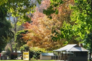 Under Contract - Harrietville Caravan Park - Established leasehold caravan park at the foot of th...