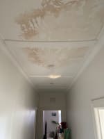 Established Property Maintenance Business based in the Eastern Suburbs of Sydney