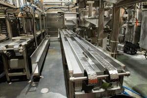 Established Asian Food Manufacturer - Strong Growth Potential