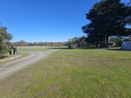 A RARE FIND IN A GOLD RICH TOWN - 1069CPL