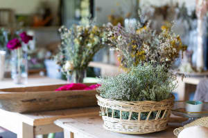 Iconic Home Decor & Gift Business, Online Growth Potential - EBS
