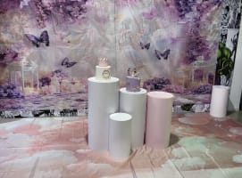 Established Vibrant Indoor Kids Playcenter & Party Venue - Caroline Springs