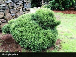 HERITAGE SEED BANK and OPEN GARDEN