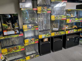 Reptile and Hydroponic Shop – First and Only in WA – Est. 2003 – East Rockingham, WA