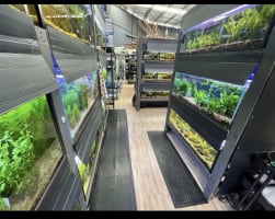 Established Aquarium & Pet Retail Business - Strong Profits