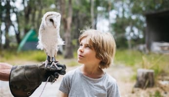 Harvest Tours - Accessible Tourism Business Margaret River