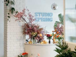 Grow Your Own Studio Spring