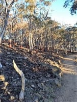 ICONIC LOG CABIN TEA HOUSE RESTAURANT WITH TOP VIEWS UNDER MT GLADSTONE LOOKOUT