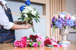 Artificial Plant Installation Biz for Sale- VIC
