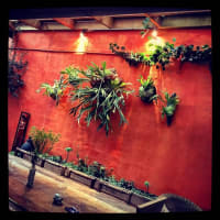 Bcmzmopj2hjmeooa9zfb