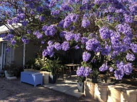 Bcpoqxhduvylyomerb2b