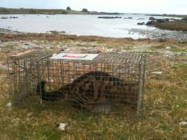 Established Environmental Services Provider