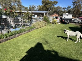 Bffdnadg0fcnaiy4l82b