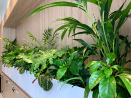 High-Margin Plant Service Business