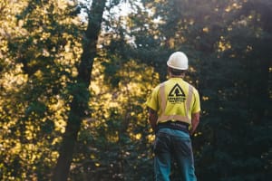 Leading B2B Tree Service Company