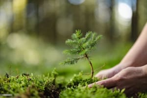 Long-Established Lawn/Garden Business: HIGH INCOME! WORK FROM ANYWHERE!
