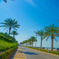 Line Marking Business - Six Figure Owners Income