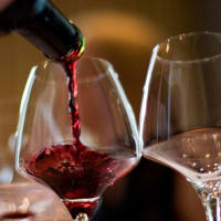 Bqvtov8ry9hoelun6jpr