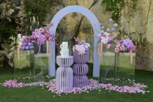 Well Established Wedding and Corporate Event Hire Business