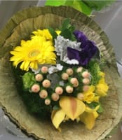 Bsg5zt8wmvbmbjwwks6i