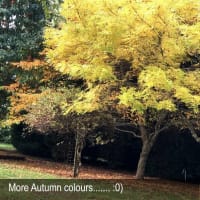 HERITAGE SEED BANK and OPEN GARDEN