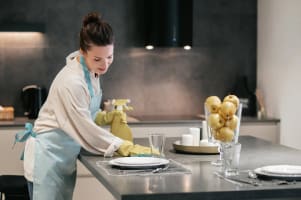 HOME CLEANING FRANCHISES - CANNING VALE AND HILLS