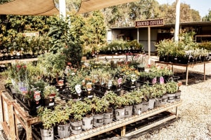 Corryong Building Supplies