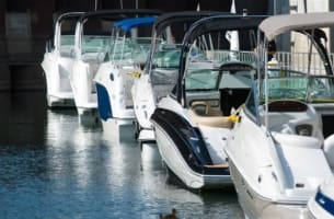 Premier Marine Business in the Whitsundays