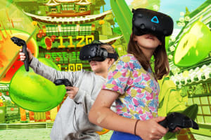 Virtual Reality Entertainment Business