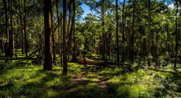 Agriculture, Recreation and Luxe Accommodation Development Opportunity