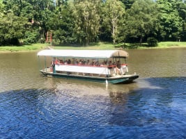 The closest Wet Tropics World Heritage river-based experience to Cairns