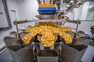 Lucrative Snacks Wholesale Manufacturing Business with Freehold for Sale