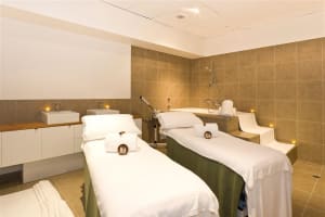 Premium Sydney Wellness Spa Businesses (2 Locations)