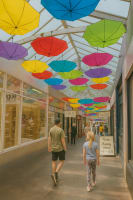 Byuegggj87jsaswf1mj8