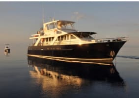 Sports Fishing Charter Business - Far North Queensland (DWBL1477)