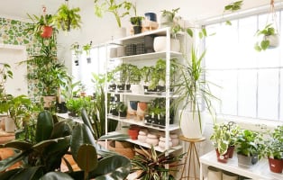 Bzxksfocoihjmcclgdfp