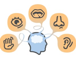 C29d5fpmqwng5y7hamtn