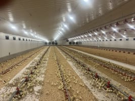 C2jrpkzrkrldjyg3wpmi