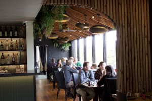 C6tay5gbn3ibolgq21lr