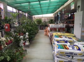 AWARD WINNING HARDWARE STORE - OCEAN FRONT PROPERTY - FREEHOLD - HEAVILY REDUCED