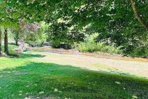 Under Contract - Harrietville Caravan Park - Established leasehold caravan park at the foot of th...