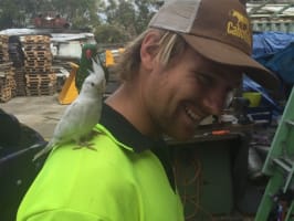 Air Conditioning and Electrical Business - Brisbane & Greater Brisbane Areas